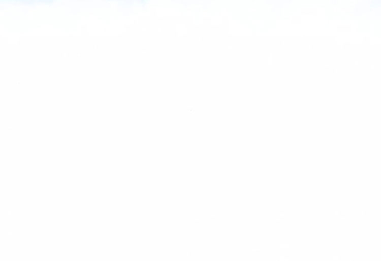 Hôm Nay Han Yoil Là Con Gái Chapter 21 - 54