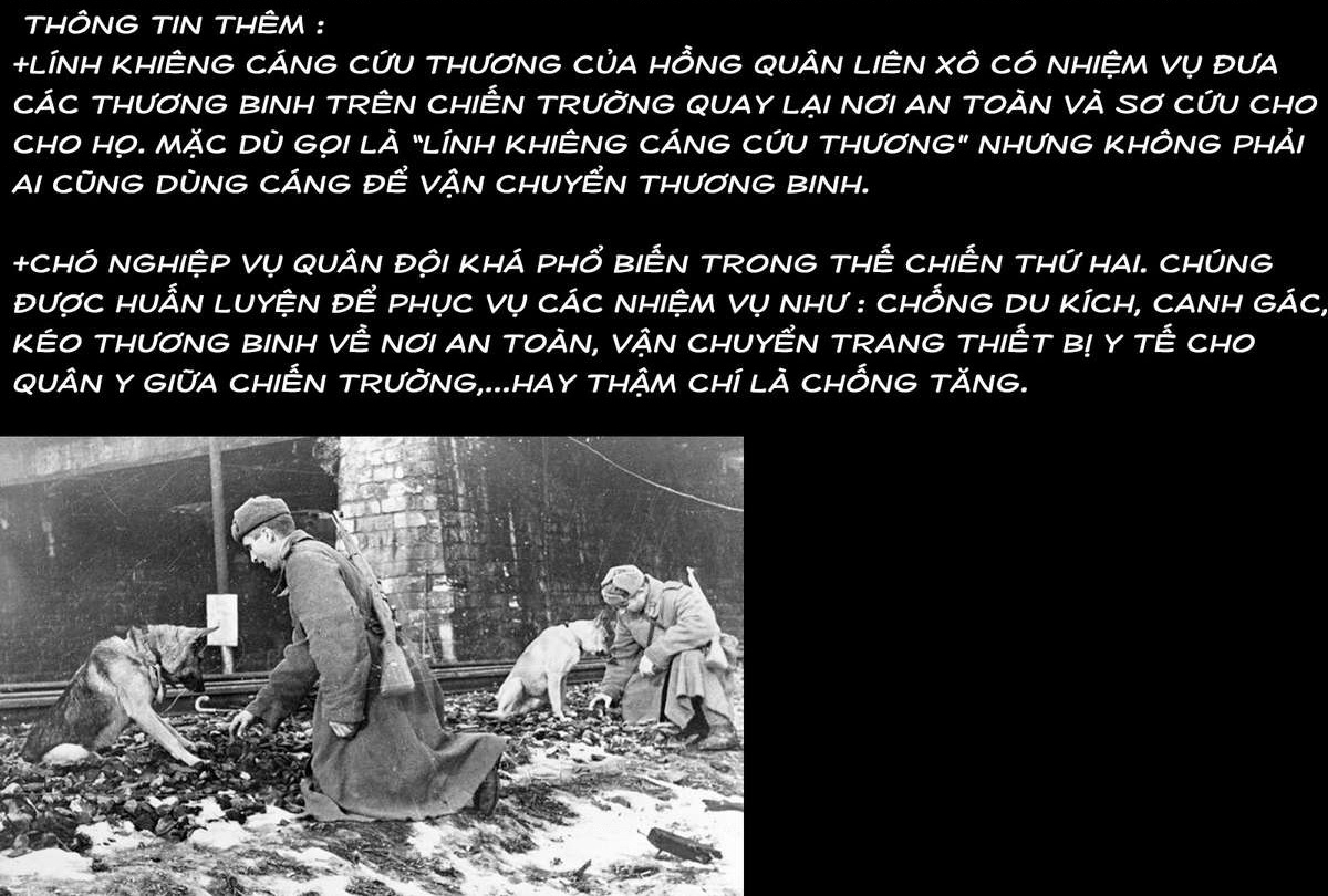 Chiến Tranh Không Có Một Khuôn Mặt Phụ Nữ Chapter 25.03 - 18