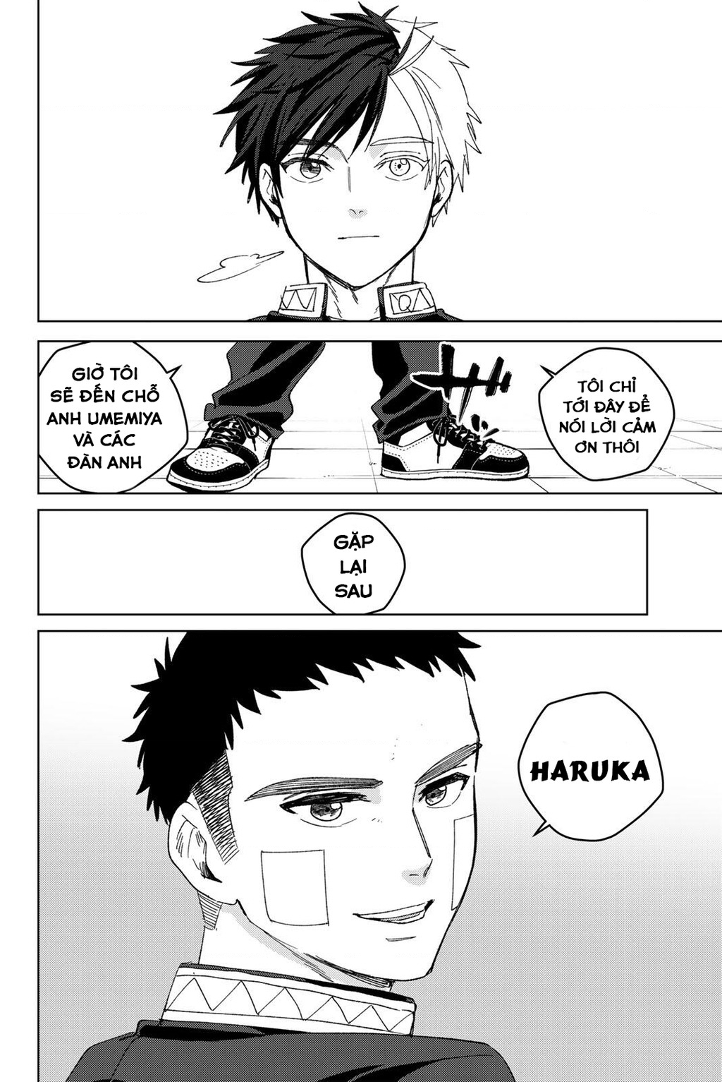 Wind Breaker (Nii Satoru) Chapter 207 - 8