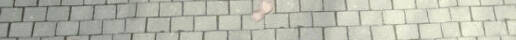 Hoàng Đế Đảo Ngược Thời Gian Chapter 75.2 - 21