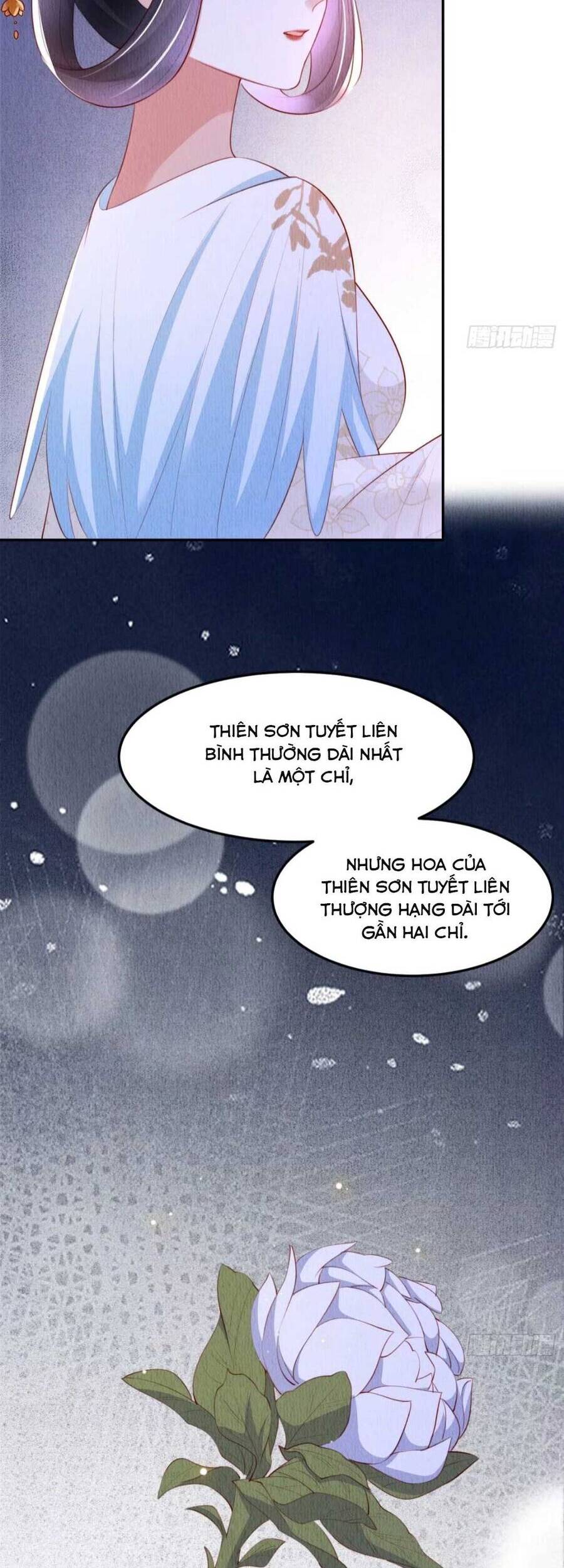 Vì Ta Trăm Hoa Cũng Phải Úa Tàn Chapter 24 - 5