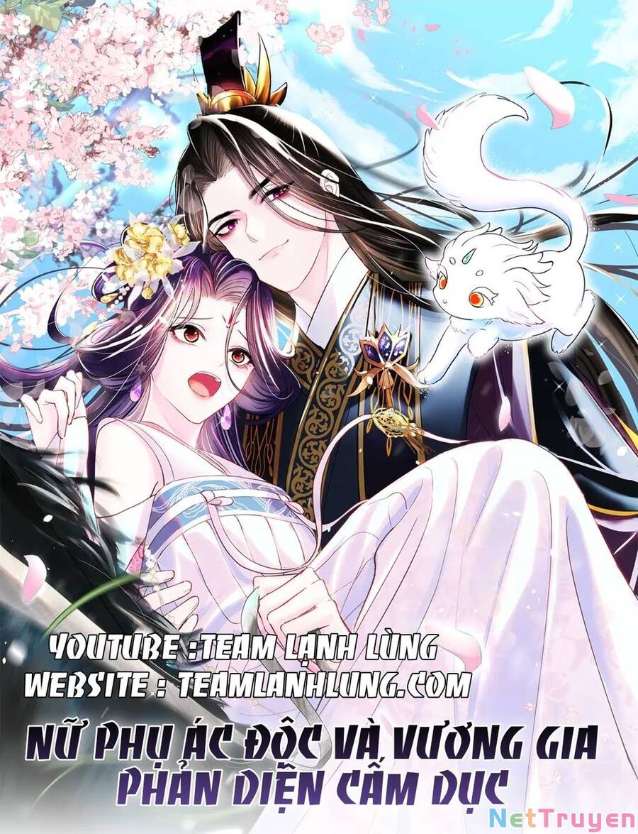 Nữ Phụ Ác Độc Và Vương Gia Phản Diện Cấm Dục Chapter 10 - 1