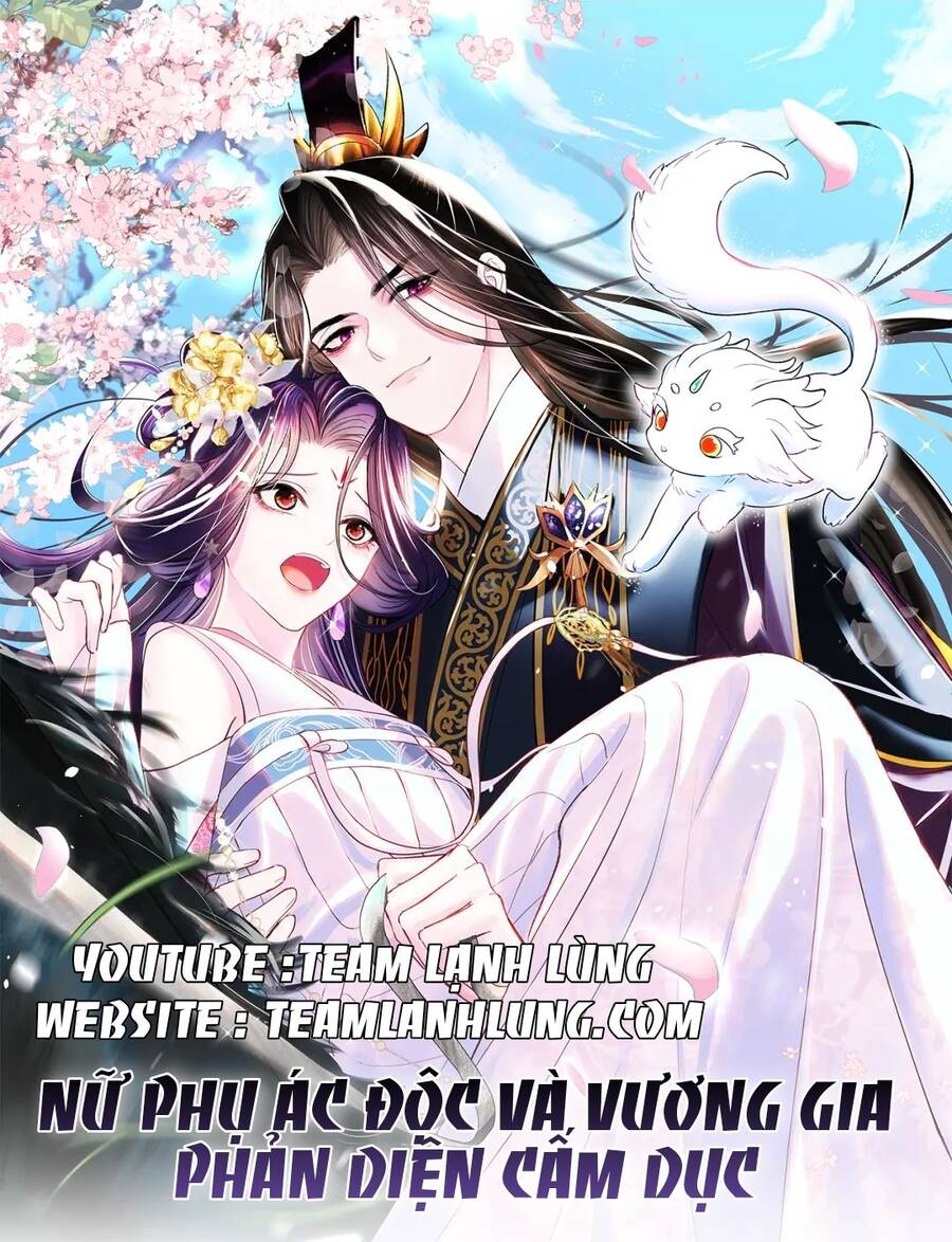 Nữ Phụ Ác Độc Và Vương Gia Phản Diện Cấm Dục Chapter 7 - 1