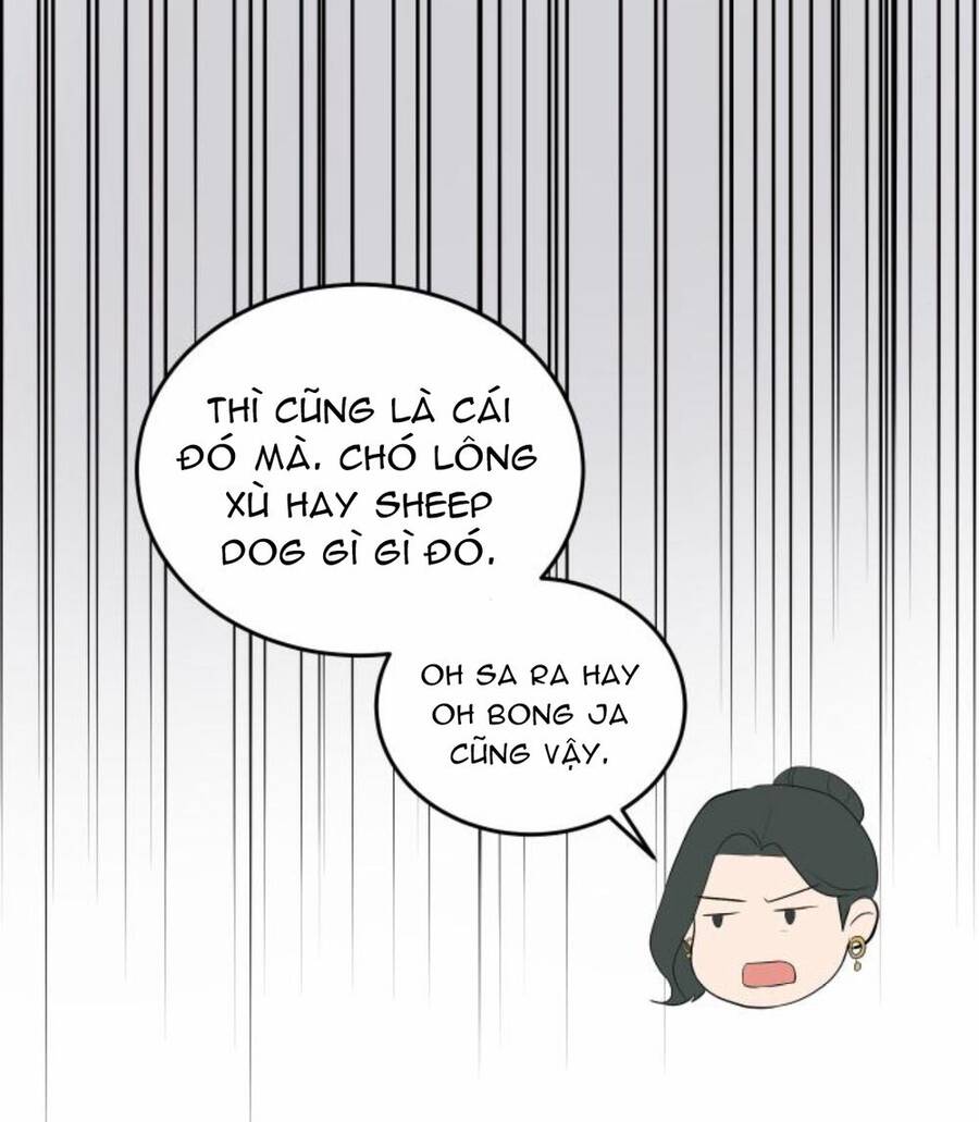 Cuộc Hôn Nhân Hoàn Hảo Chapter 26 - 71