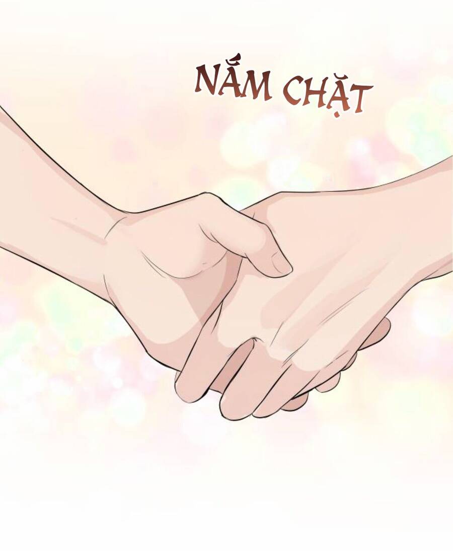 Cuộc Hôn Nhân Hoàn Hảo Chapter 27 - 60