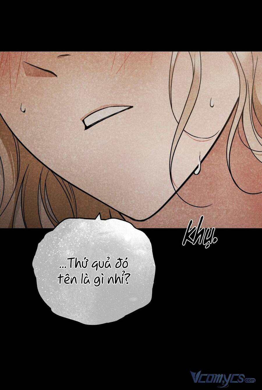 Lời Nói Dối Vĩnh Cửu Chapter 18 - 15