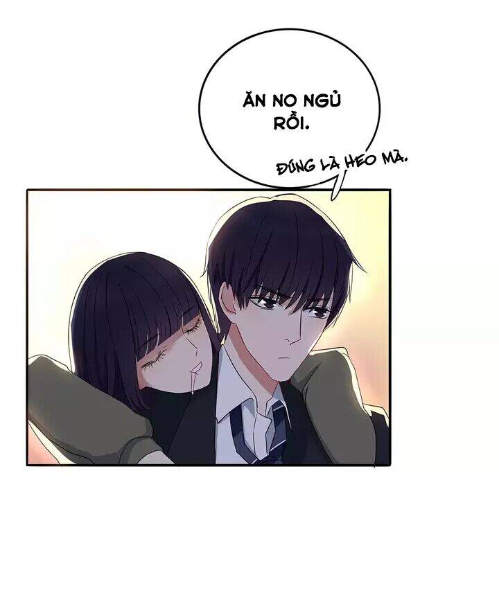 Chào Buổi Sáng, Hướng Dương Chapter 31 - 11