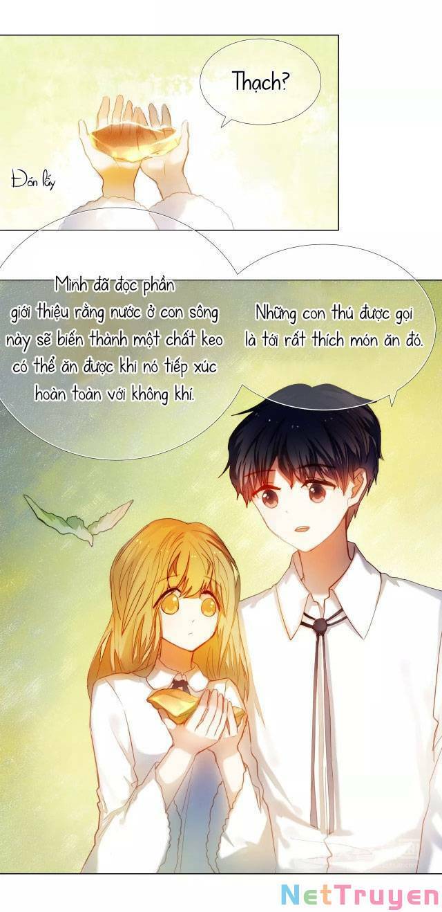 Kế Hoạch Trái Tim Chapter 50 - 17