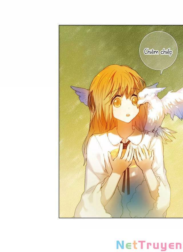 Kế Hoạch Trái Tim Chapter 50 - 18