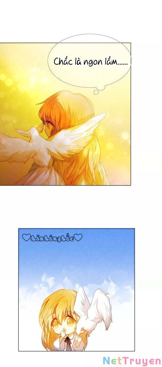 Kế Hoạch Trái Tim Chapter 50 - 19