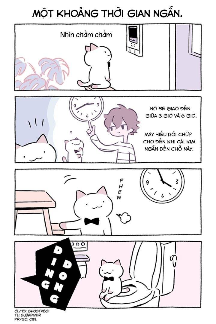 Chú Mèo Kỳ Diệu Kyuu-Chan Chapter 780 - 3