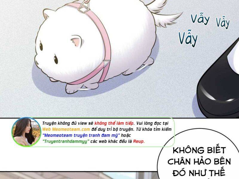 Cha Vợ Đại Nhân Là Bà Xã Chapter 162 - 28
