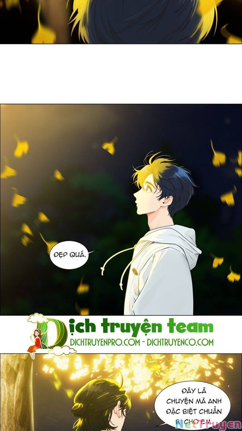 Đâu Phải Tại Tui Muốn Giả Gái Chapter 116 - 16