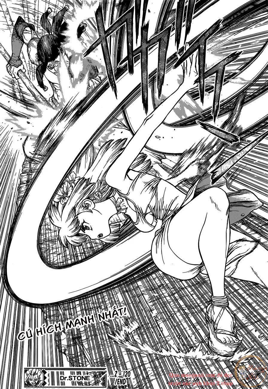 Dr.stone Chapter 120 - 20
