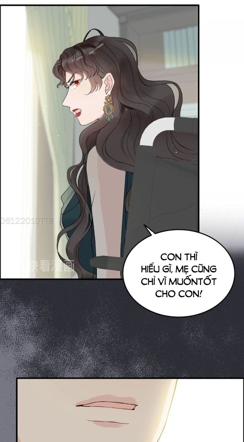 Cô Vợ Hợp Đồng Bỏ Trốn Của Tổng Giám Đốc Chapter 188 - 29