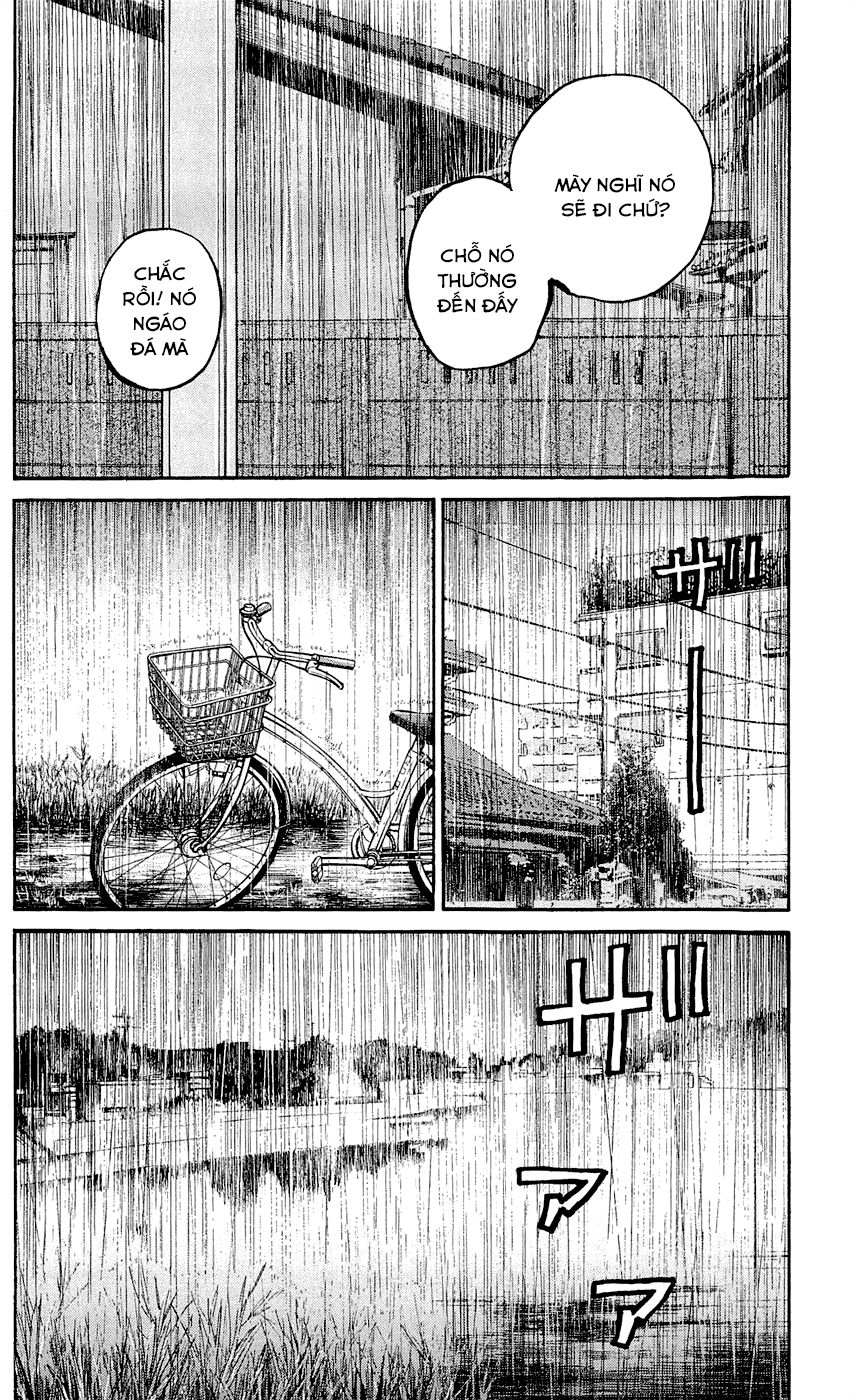 Clover Chapter 141 - 11