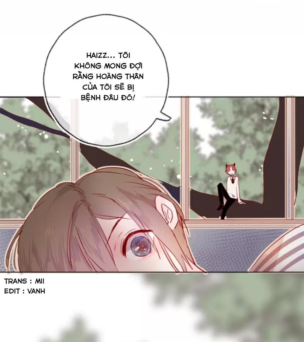 Hoa Dữ Ẩn Nặc Chi Ô Chapter 26 - 50