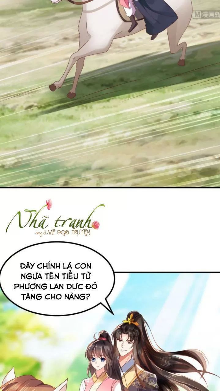 Độc Phi Ngu Ngốc Không Thể Chọc Chapter 136 - 13