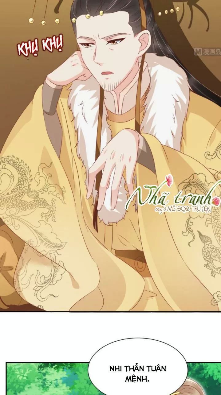 Độc Phi Ngu Ngốc Không Thể Chọc Chapter 138 - 7