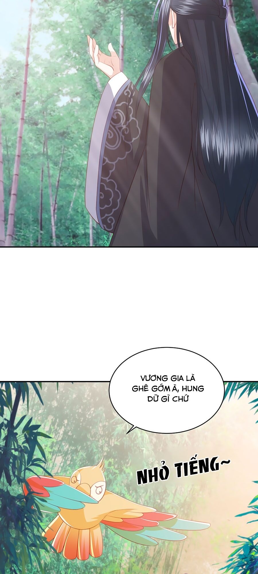 Phượng Hoàng Thác: Chuyên Sủng Khí Thê Chapter 69 - 29