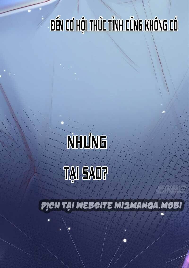 Triều Tây, Con Thích Chú Chapter 37 - 37