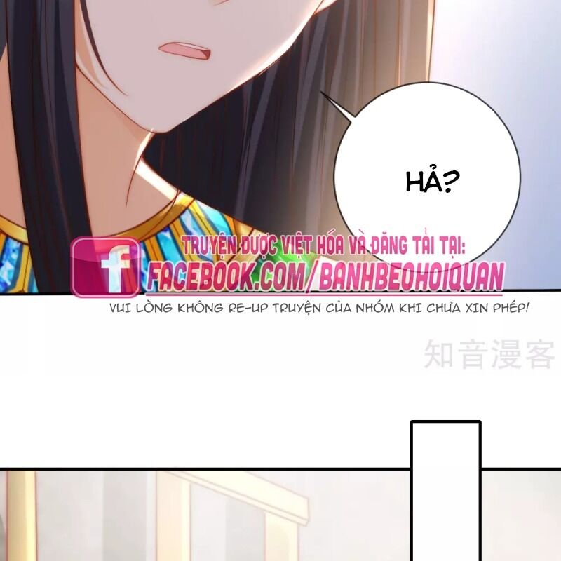 Sủng Hậu Của Vương Chapter 56 - 53