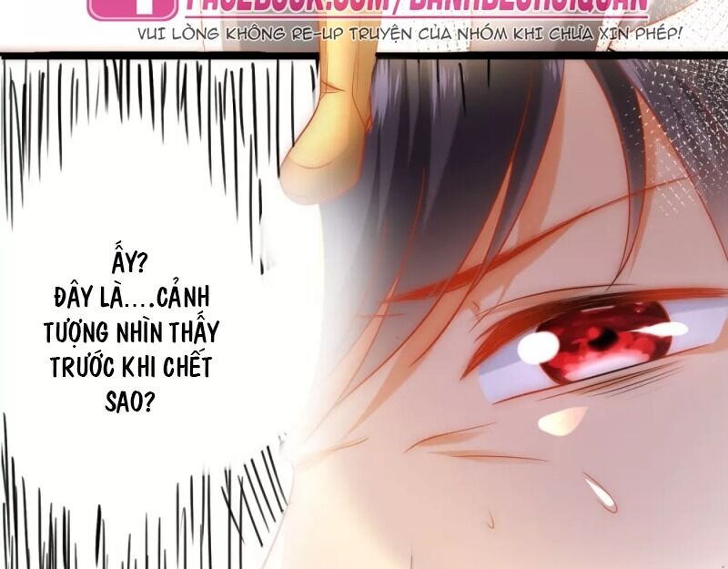 Sủng Hậu Của Vương Chapter 59 - 4