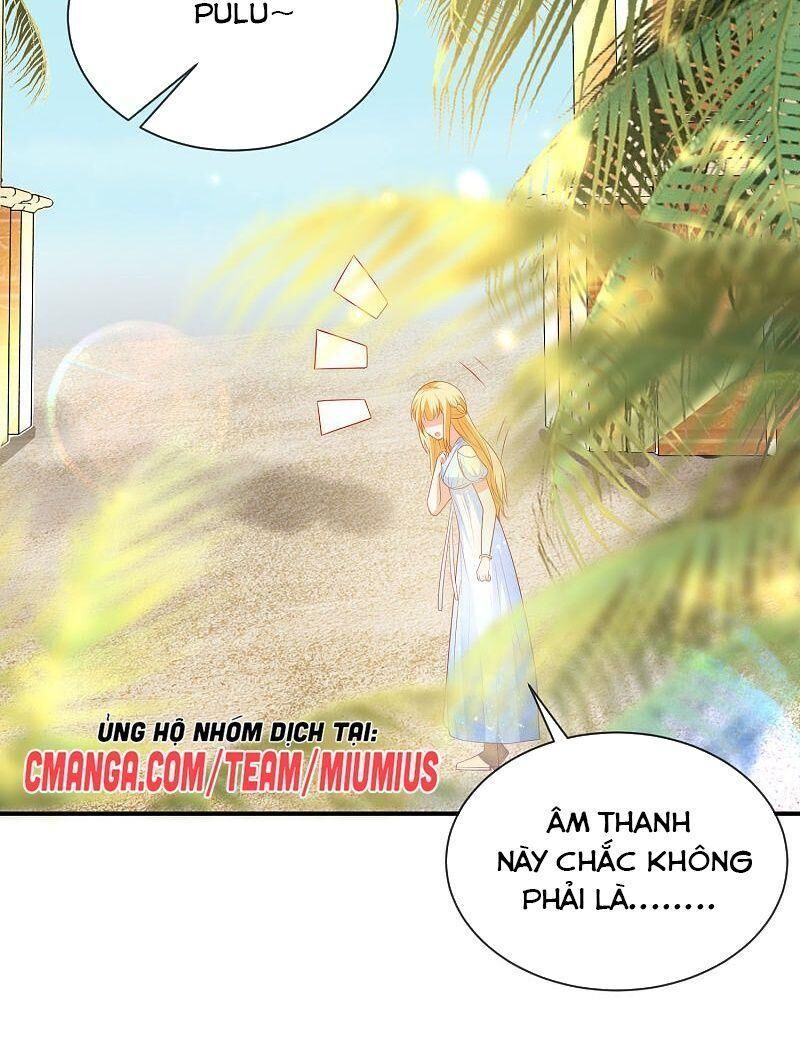 Sủng Hậu Của Vương Chapter 75 - 31