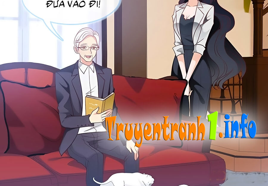 Tổng Tài Daddy Đuổi Tới Nơi Rồi Chapter 77 - 11
