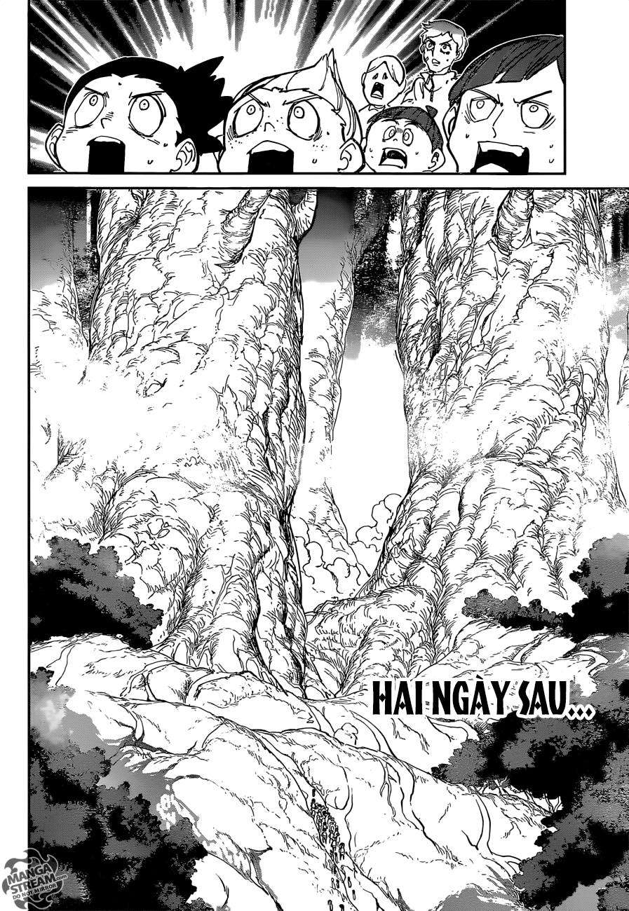 The Promised Neverland Chapter 118 - 5
