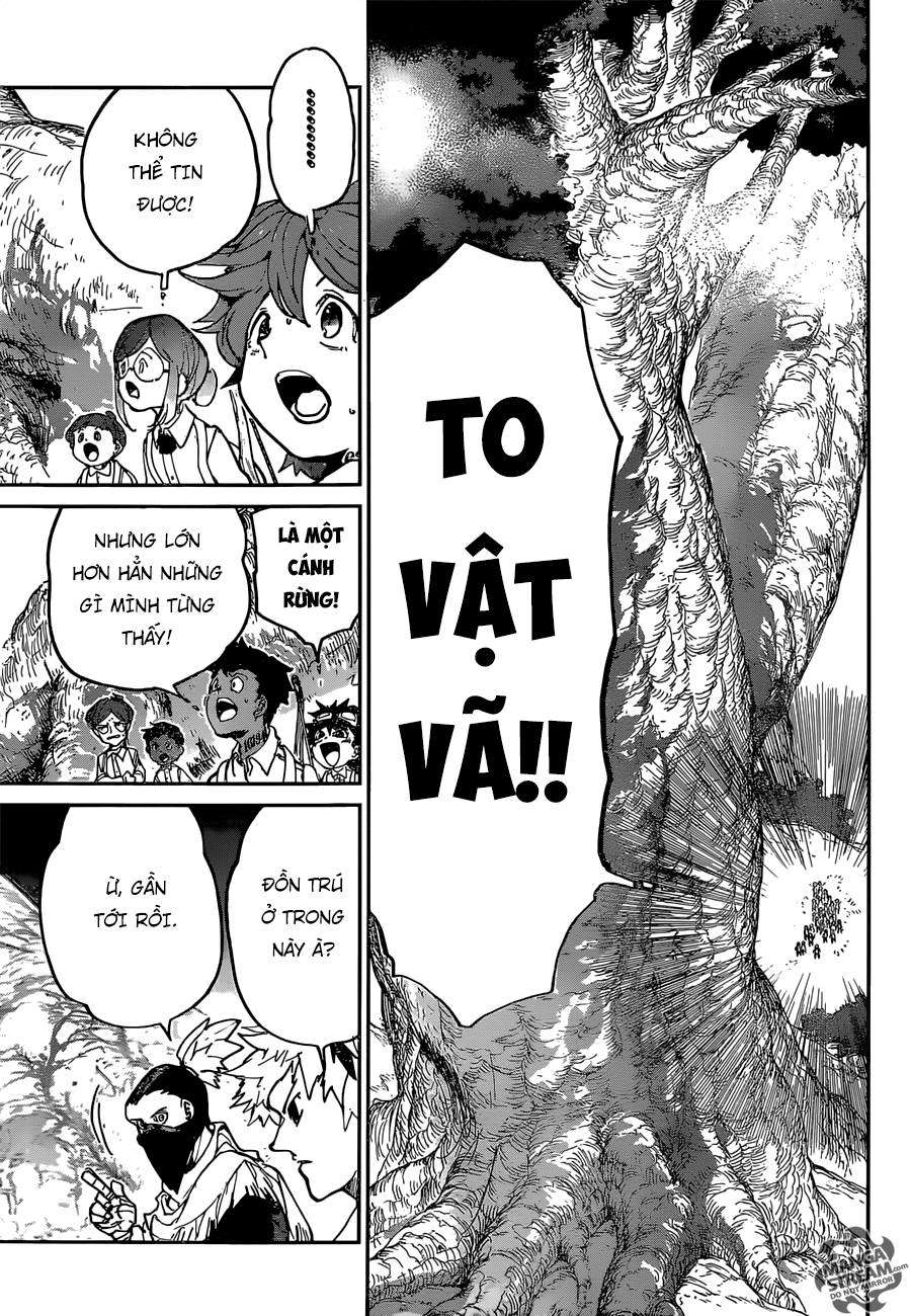 The Promised Neverland Chapter 118 - 6