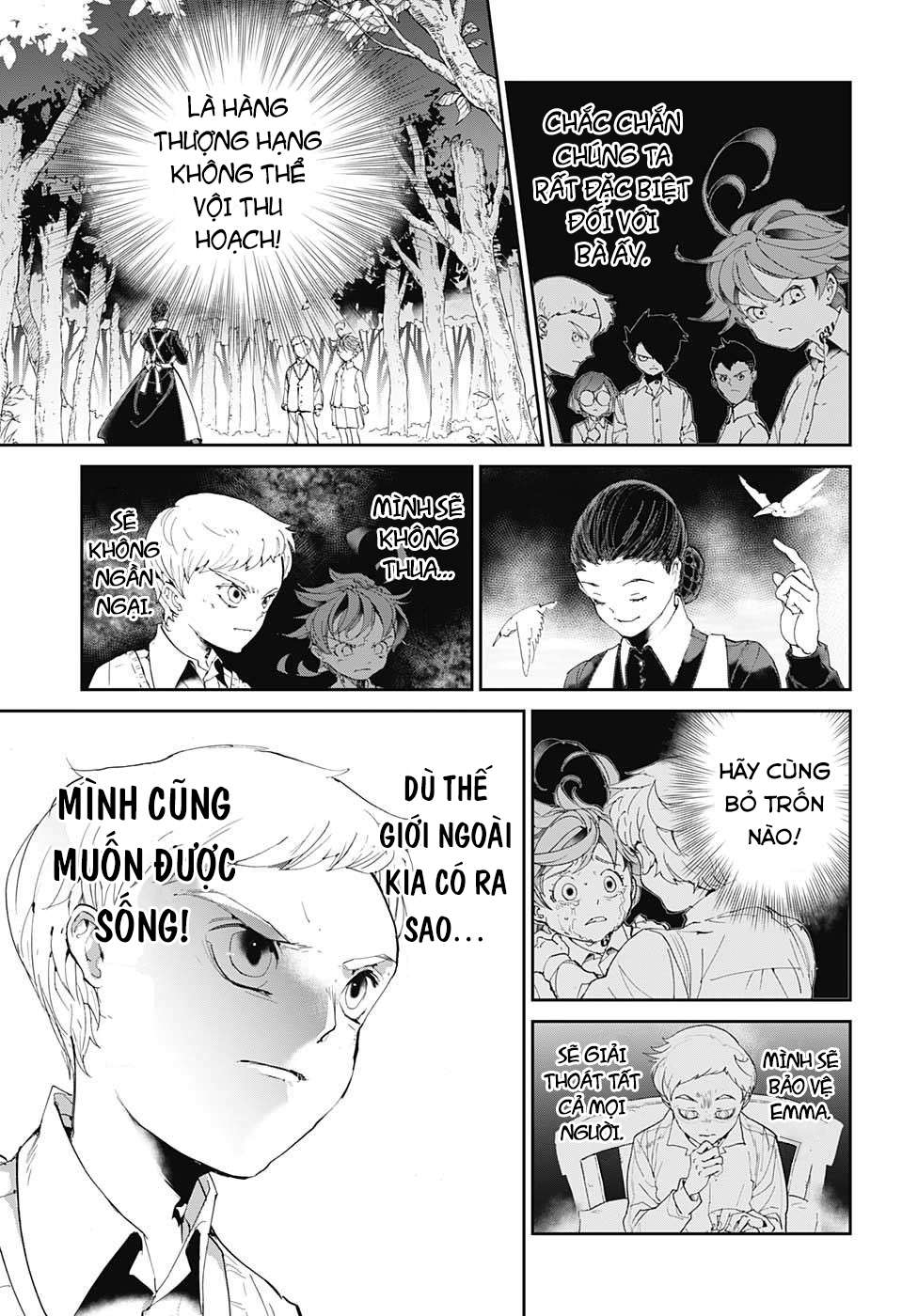 The Promised Neverland Chapter 25 - 12