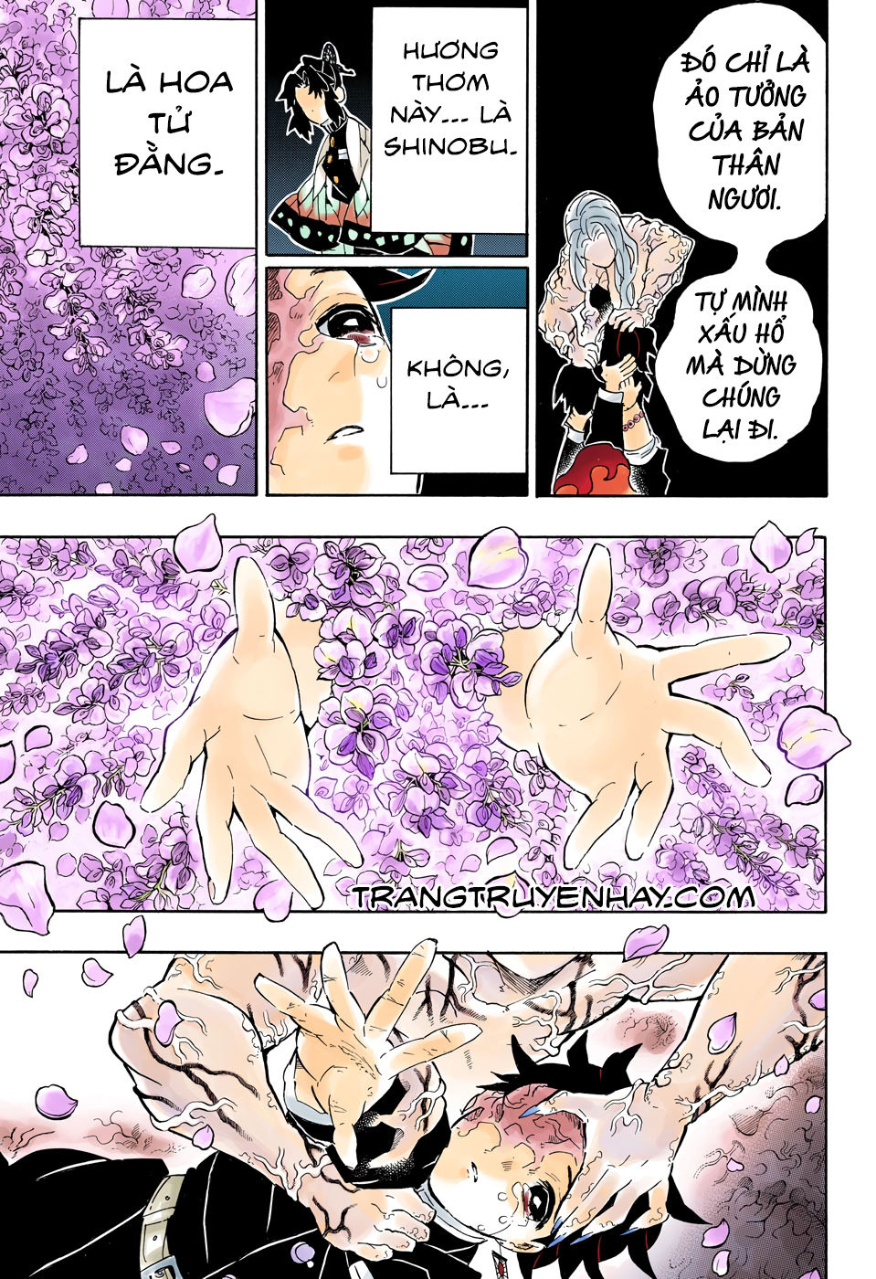 Thanh Gươm Diệt Quỷ Chapter 203 - 11