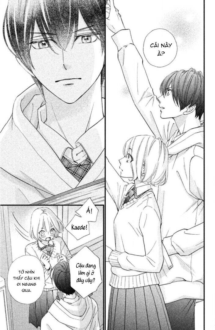Zettai Ni Tokimeite Wa Ikenai! Chapter 19 - 26