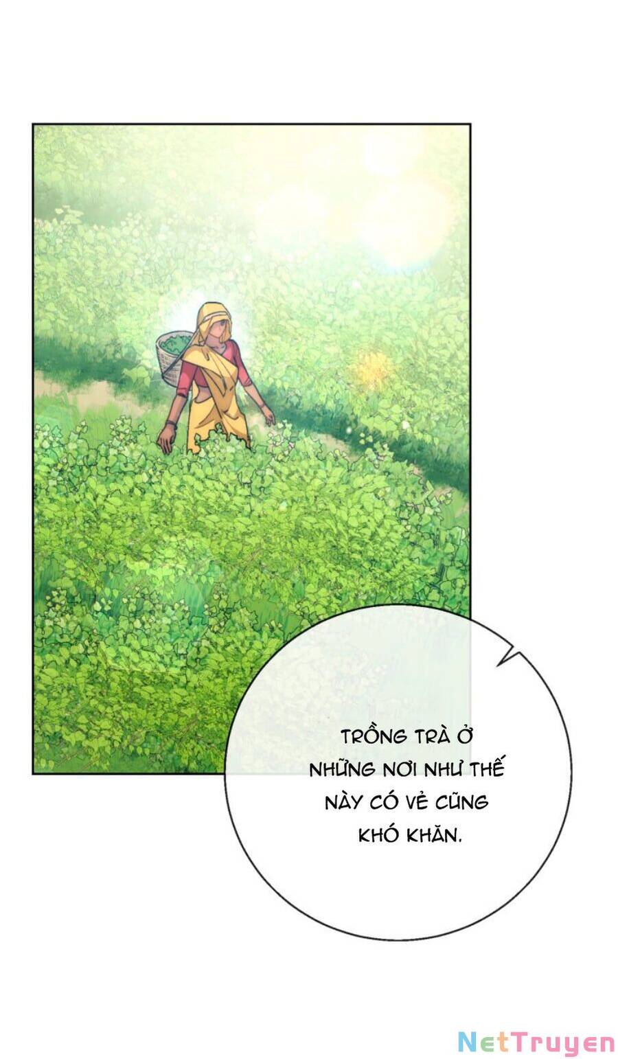 50 Công Thức Pha Trà Của Nữ Công Tước Chapter 130 - 8