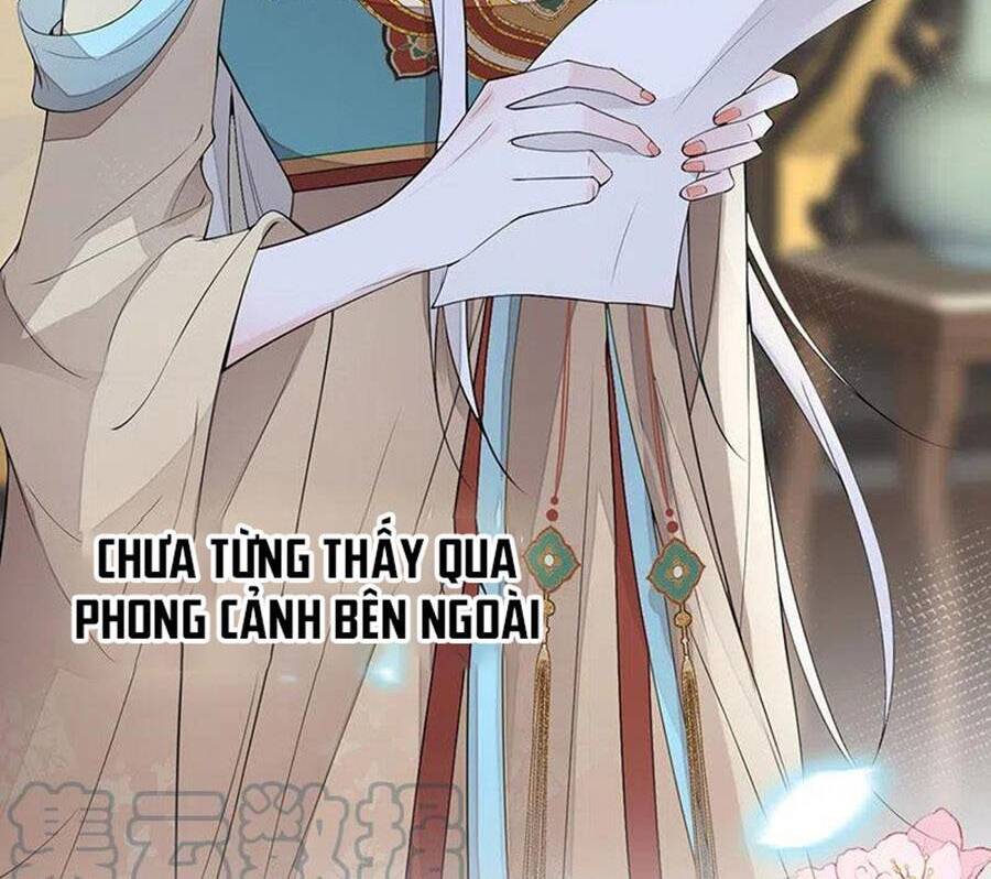 Thái Hậu Quân Hạ Thần Chapter 151 - 27