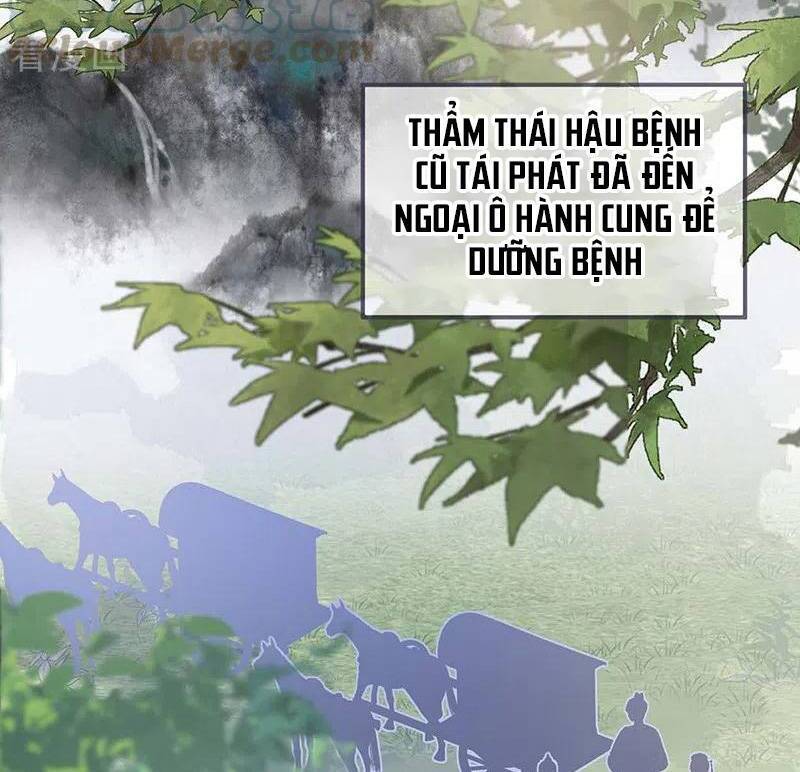 Thái Hậu Quân Hạ Thần Chapter 173 - 22