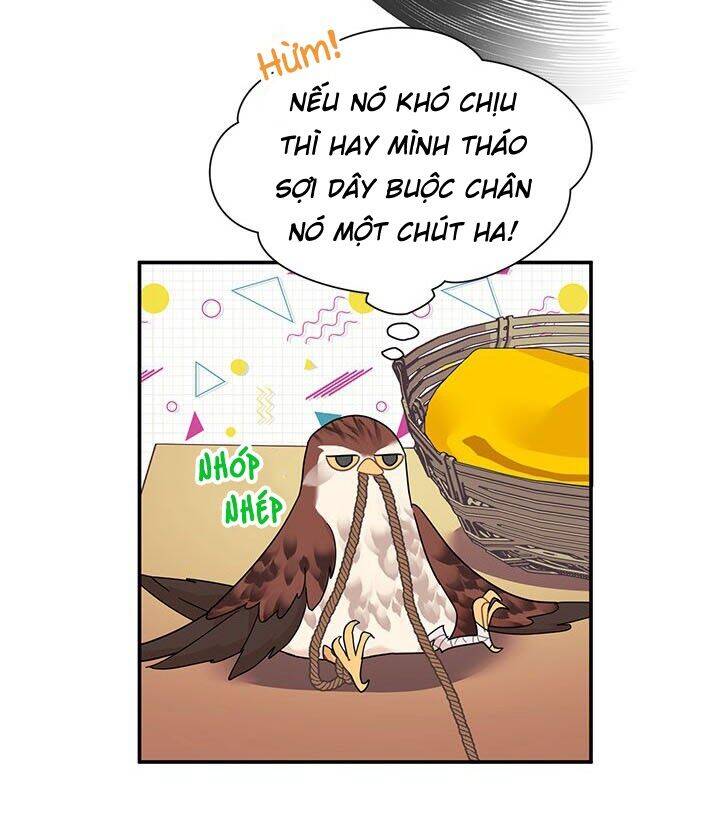 Công Chúa Của Loài Chim Chapter 19 - 43