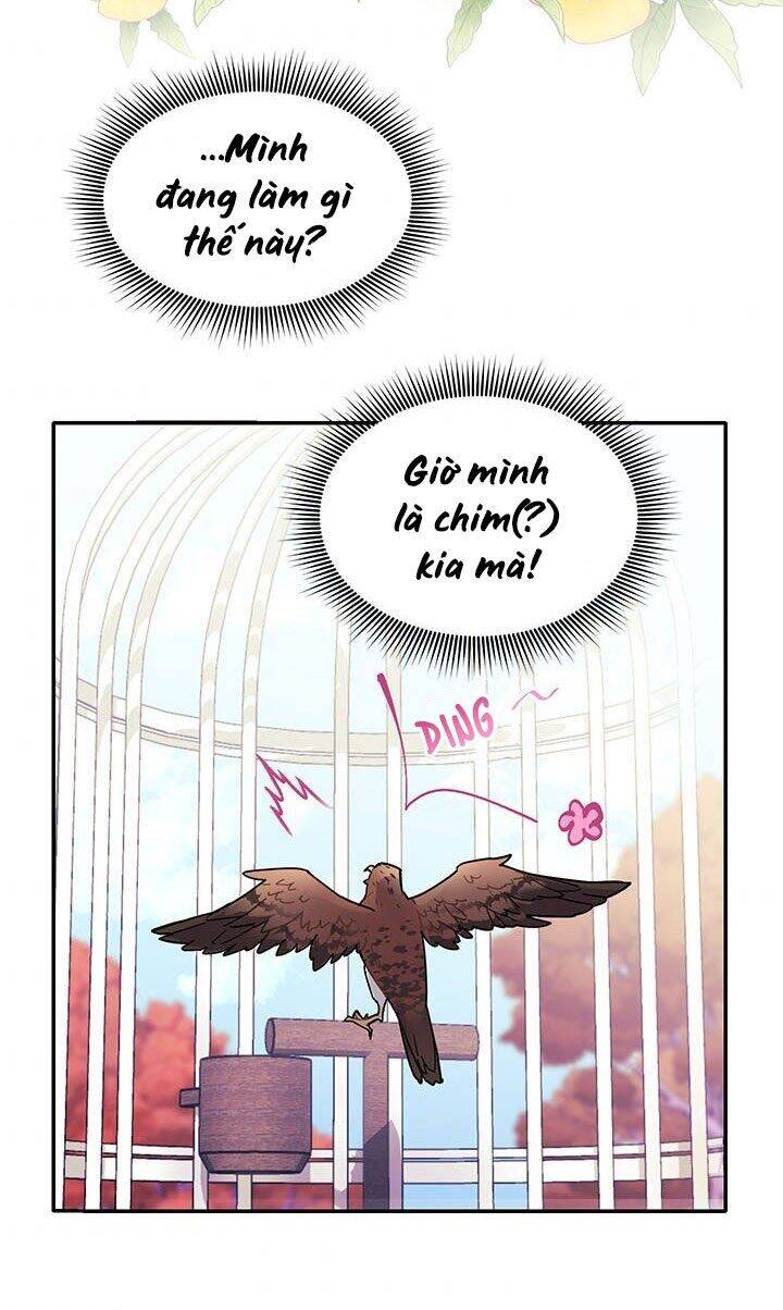 Công Chúa Của Loài Chim Chapter 2 - 4