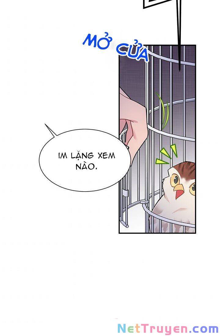 Công Chúa Của Loài Chim Chapter 21 - 3