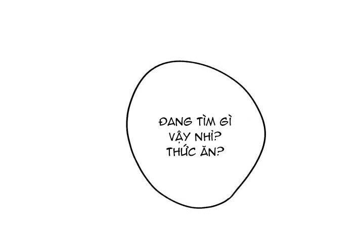 Công Chúa Của Loài Chim Chapter 4 - 74