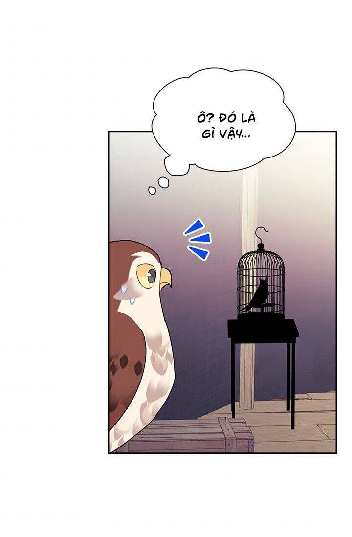 Công Chúa Của Loài Chim Chapter 22 - 84