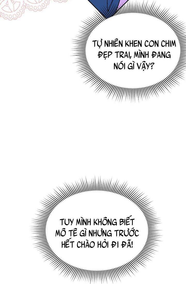 Công Chúa Của Loài Chim Chapter 23 - 25
