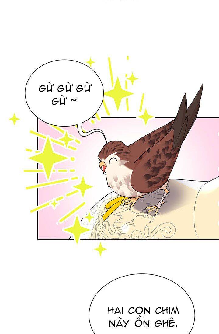 Công Chúa Của Loài Chim Chapter 23 - 26