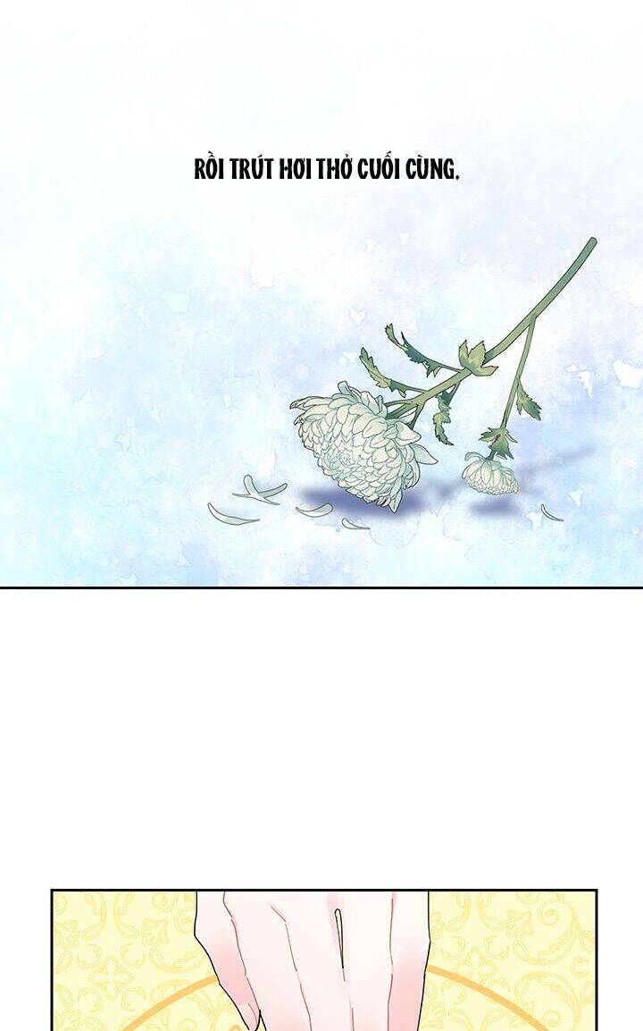 Công Chúa Của Loài Chim Chapter 29 - 17