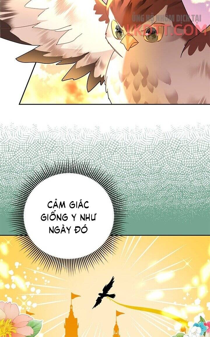 Công Chúa Của Loài Chim Chapter 30 - 32