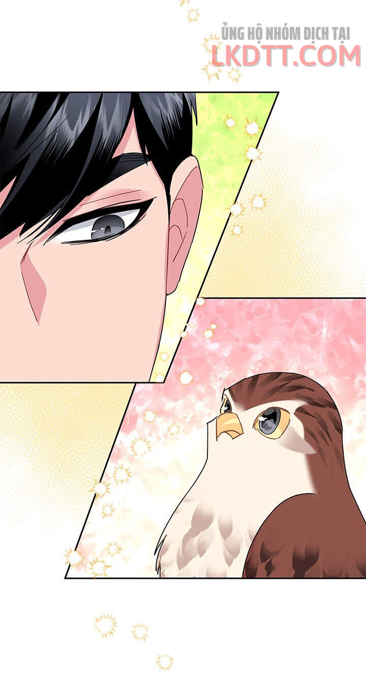 Công Chúa Của Loài Chim Chapter 31 - 15