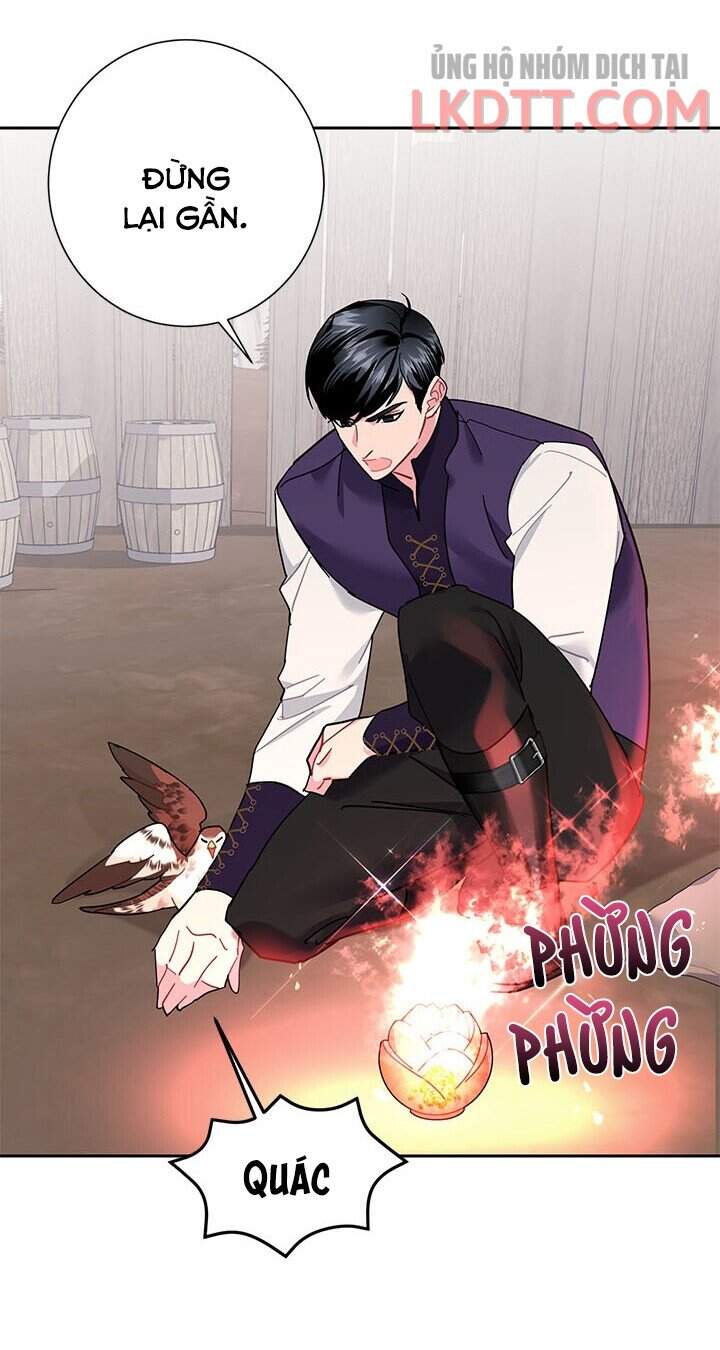 Công Chúa Của Loài Chim Chapter 31 - 28