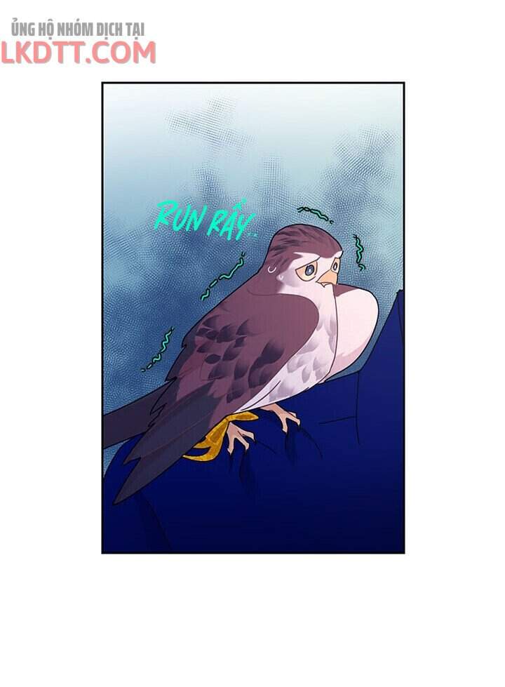 Công Chúa Của Loài Chim Chapter 36 - 45