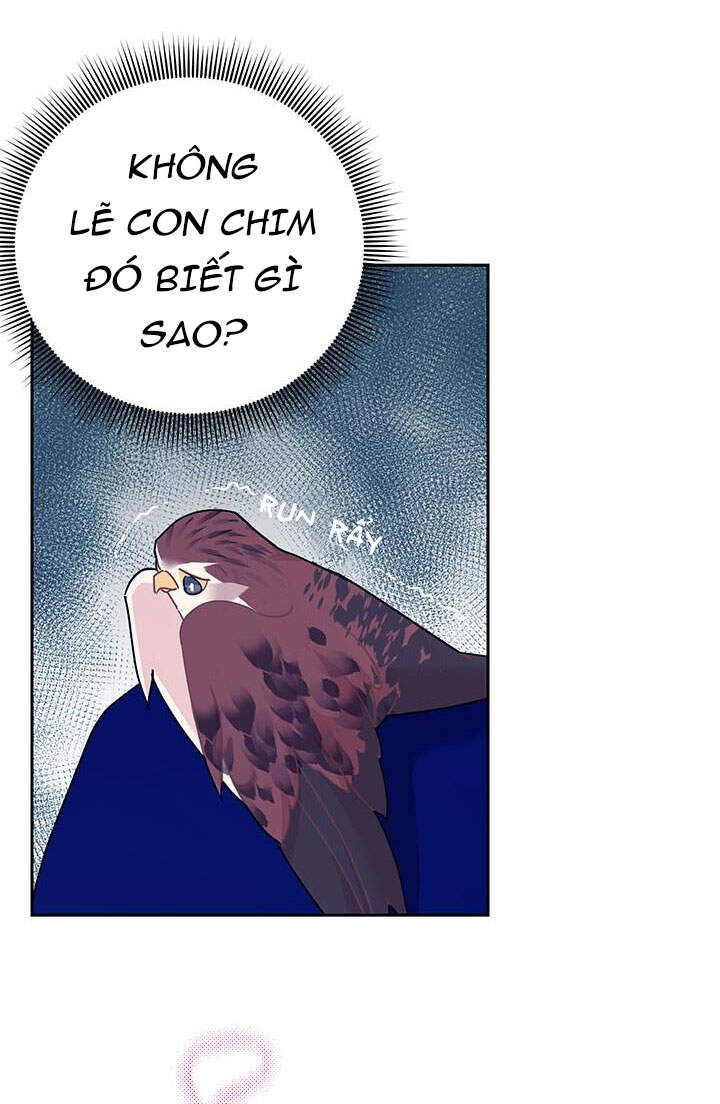 Công Chúa Của Loài Chim Chapter 37.1 - 38